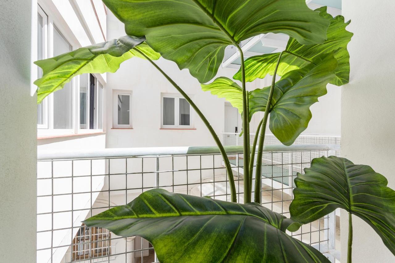 Dona Blanca Centro Diseno Minimalista Leilighet Jerez de la Frontera Eksteriør bilde